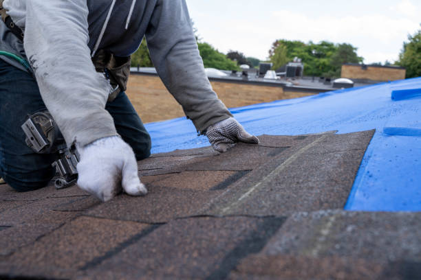 Best Roof Restoration Services  in Claryville, KY