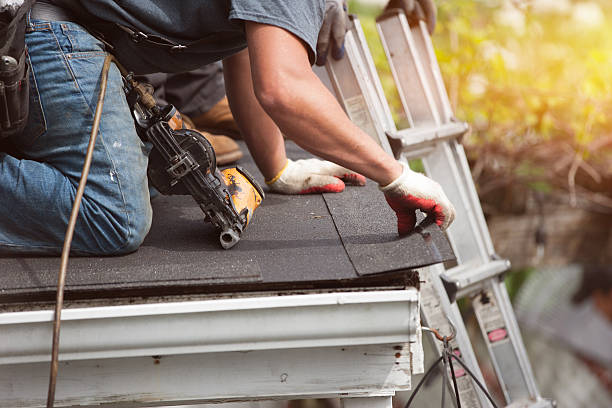 Professional Roofing Contractor in Claryville, KY