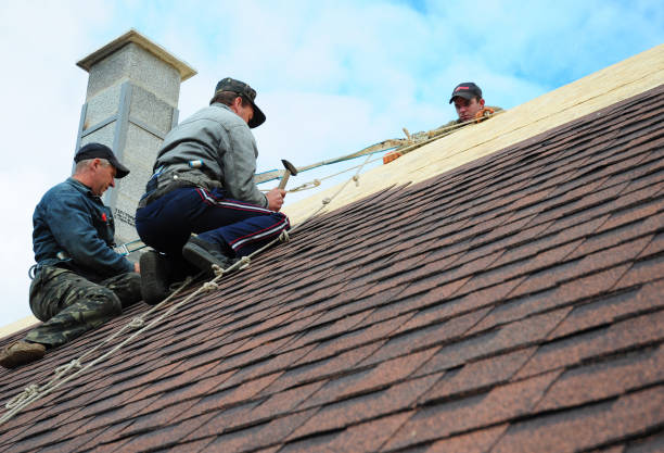 Best Storm Damage Roof Repair  in Claryville, KY