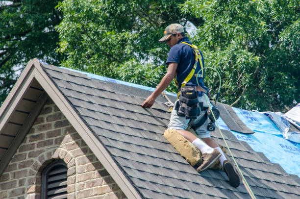 Best Metal Roofing Contractor  in Claryville, KY